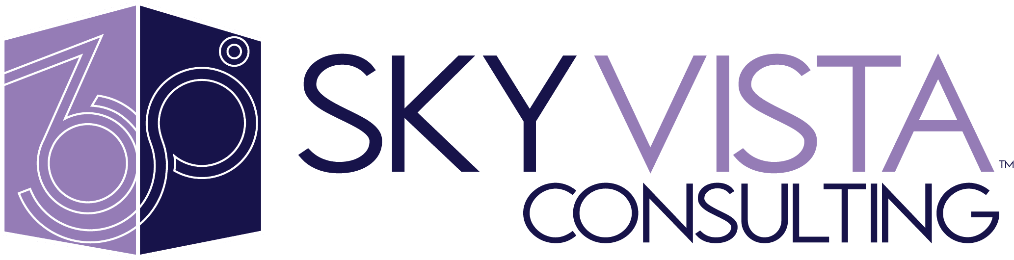 Sky Vista Consulting